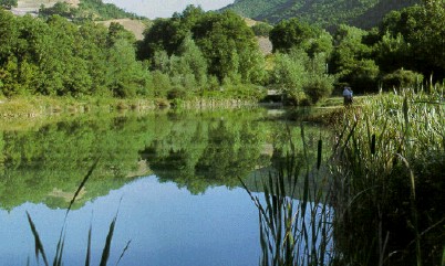 campinglagfossi1.jpg (43718 byte)